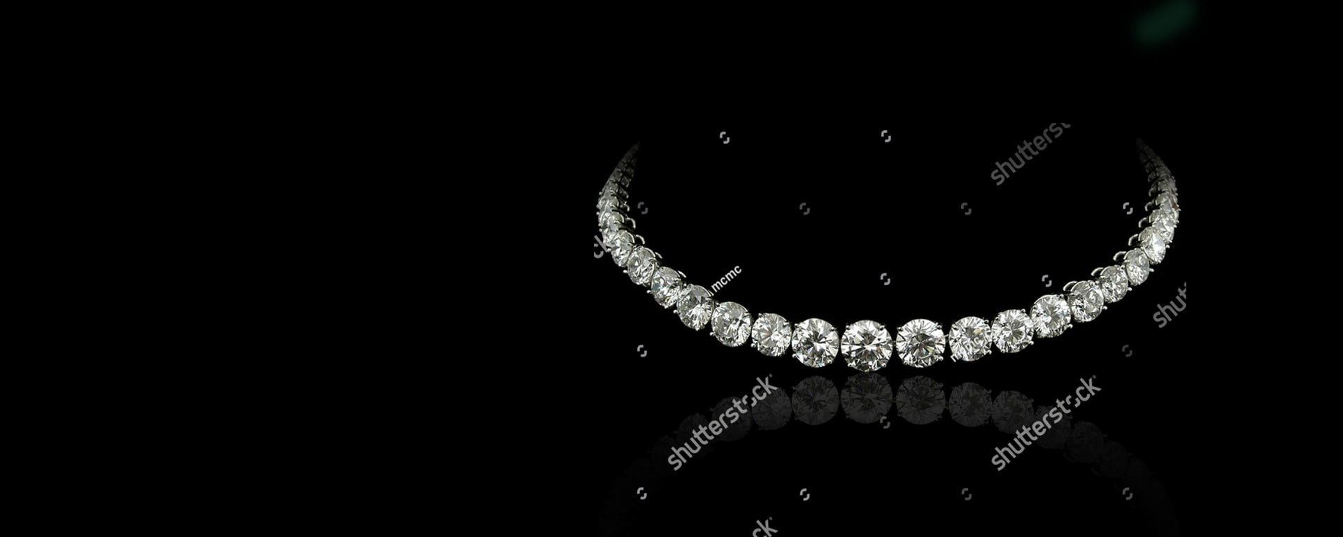 Exclusive New Collection