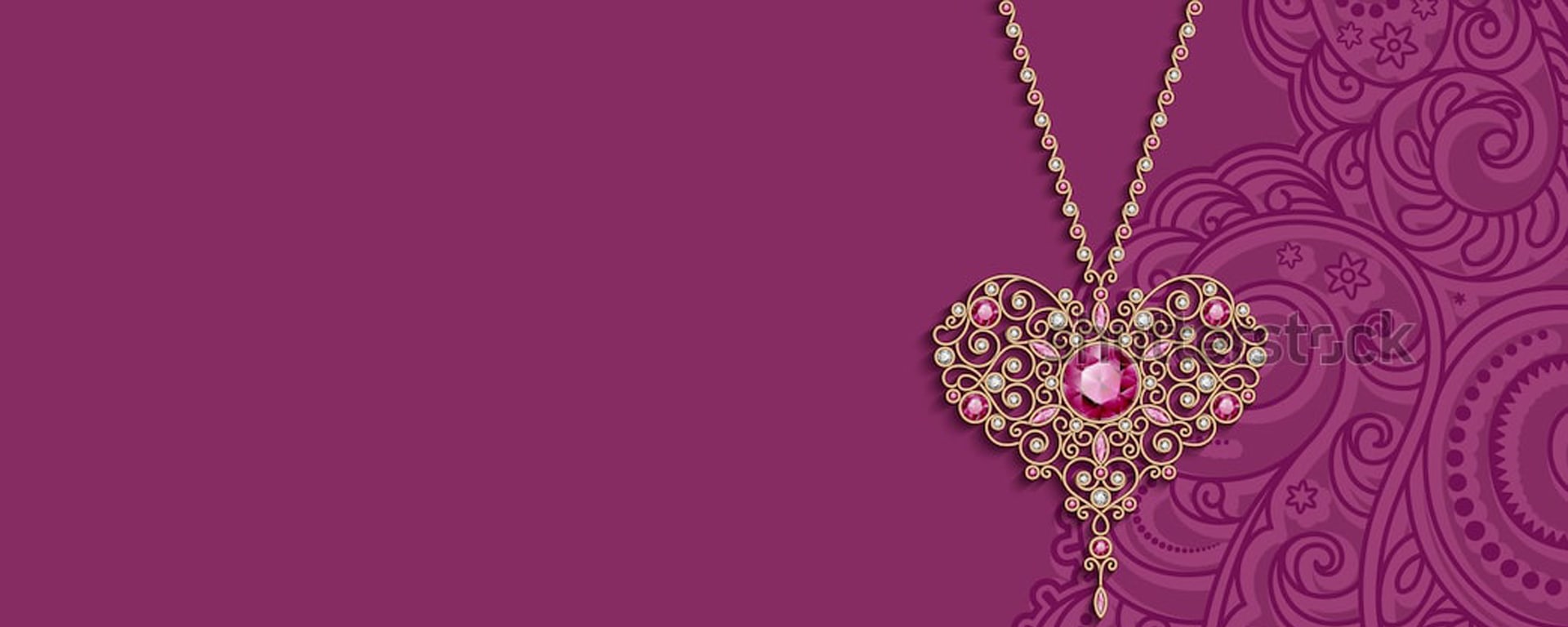 Exclusive New Collection